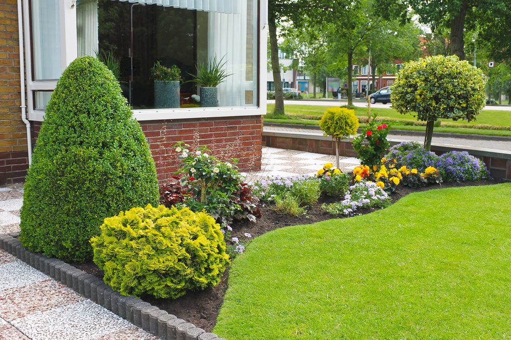 Grasmat aanleggen tuin - Tuindorado