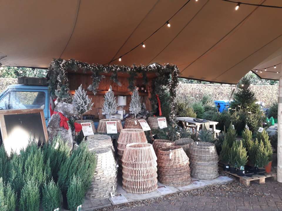 Ruïneren Klik herwinnen Kerstbomen bij Tuindorado - Tuindorado