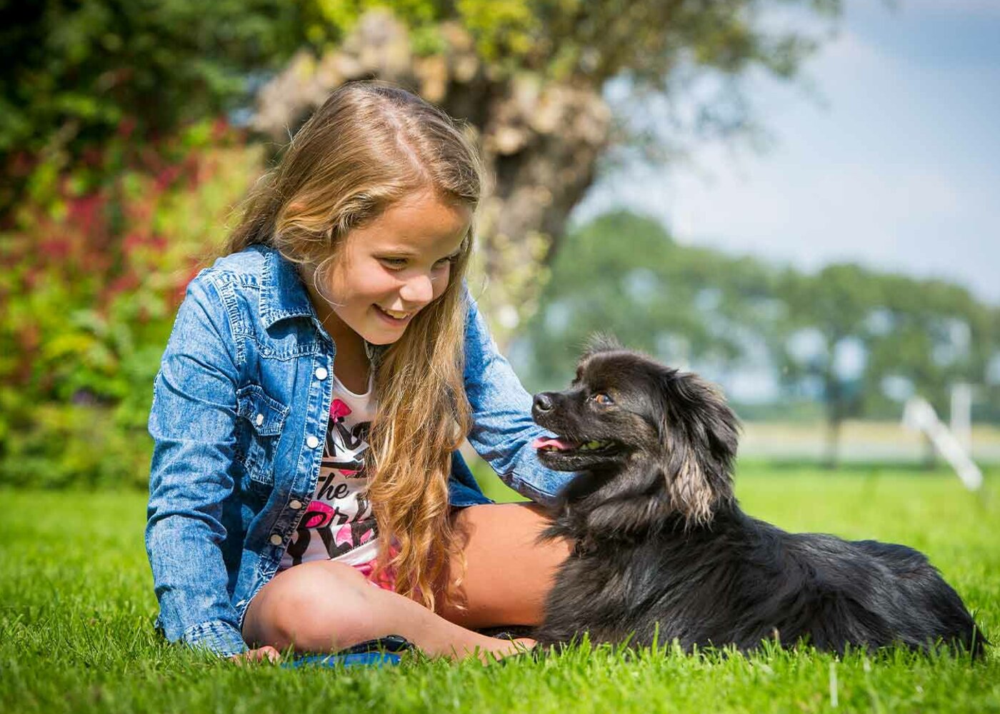 Alles voor je huisdier!