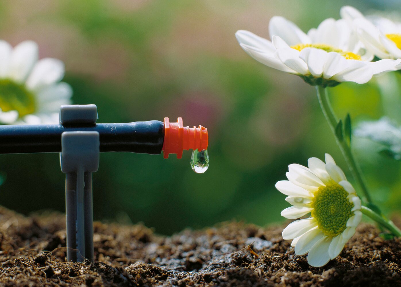 Bespaar water met de Gardena Micro Drip!