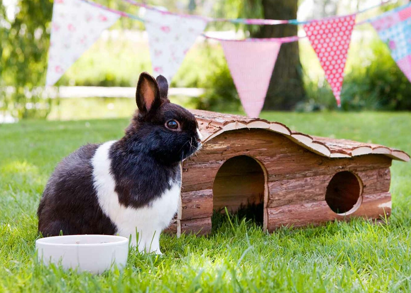 Van stro tot drinkbakjes en leuke speeltjes!