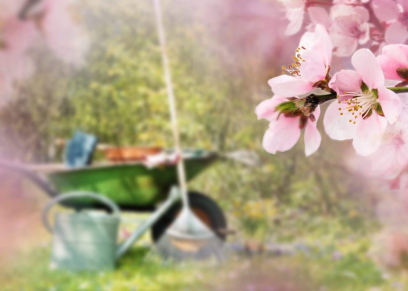 Haal de lente in huis!