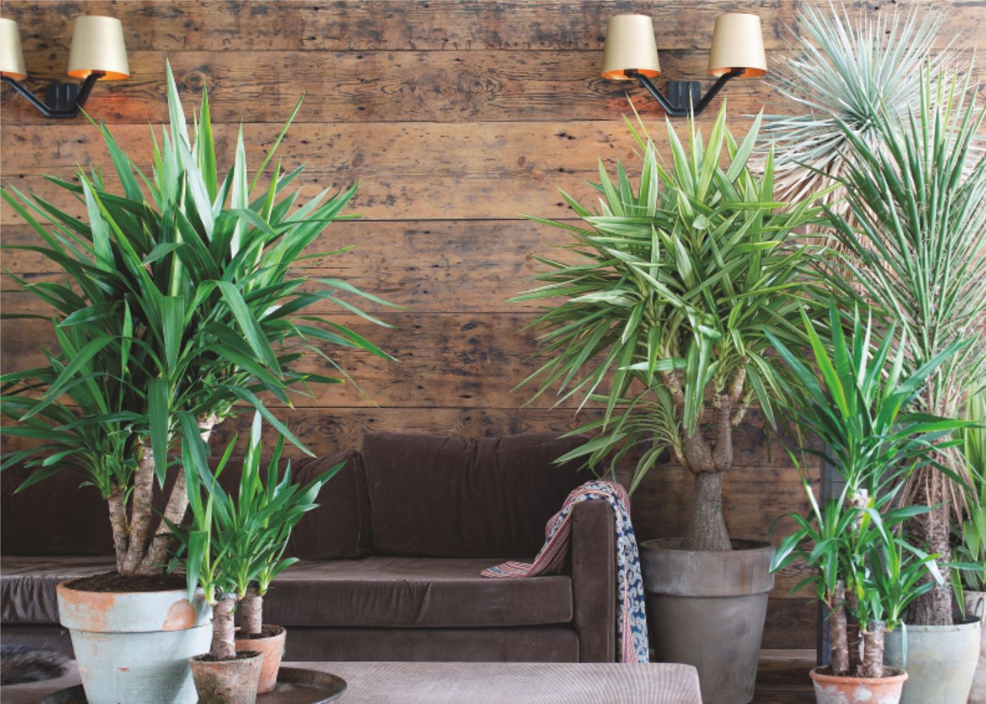 Maak van je huis een thuis!