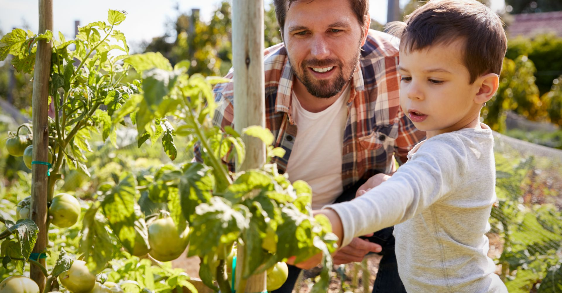 Geniet van verse groenten uit eigen tuin!