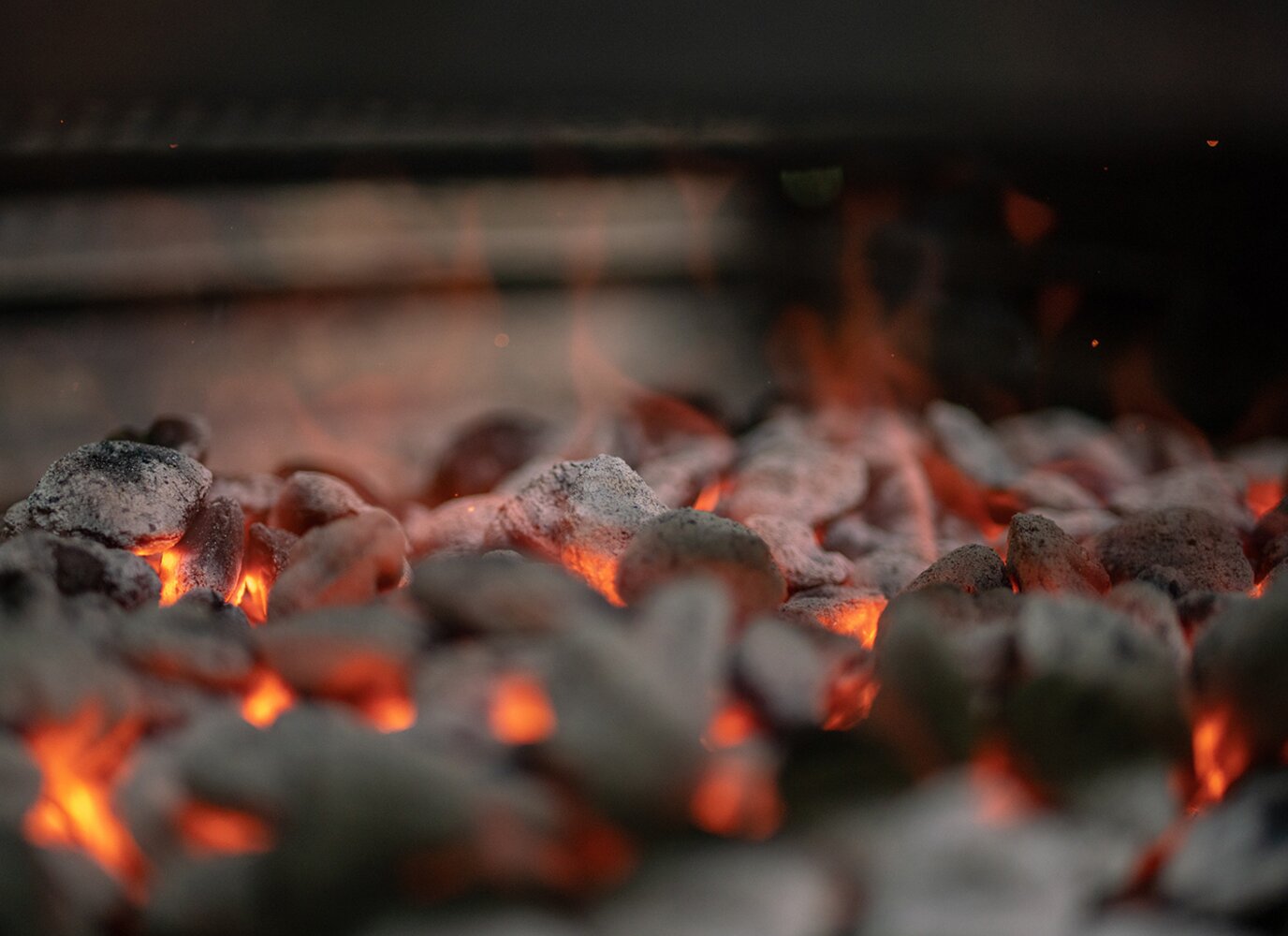 Napoleon: Expert in barbeques sinds 1995