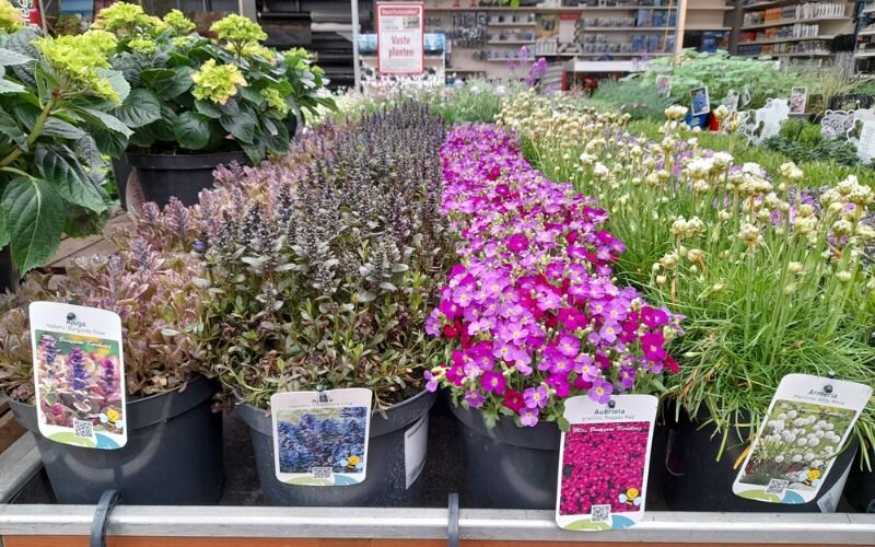 Planten bestellen Planten bestellen