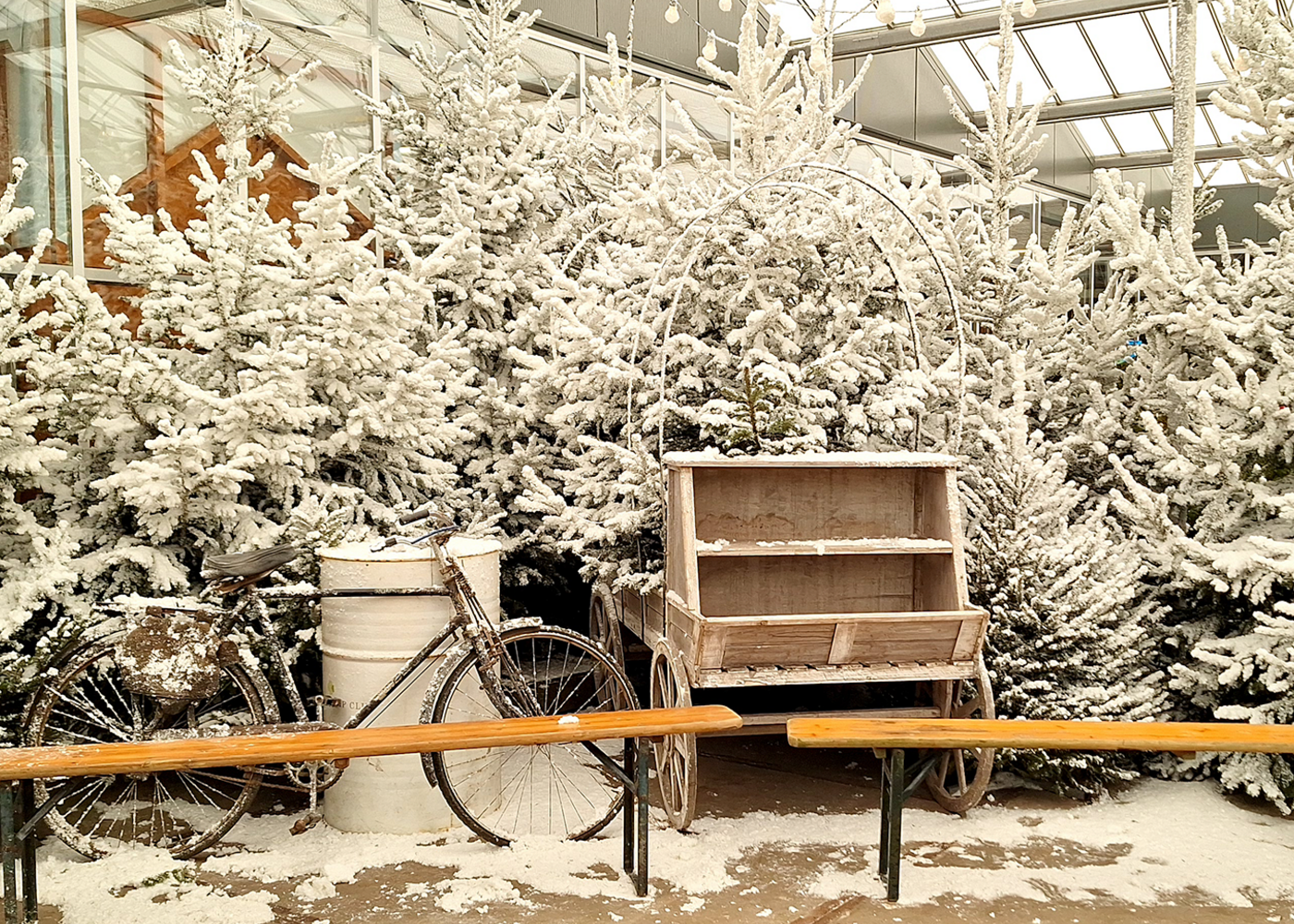 Versier de kerst met sneeuw!