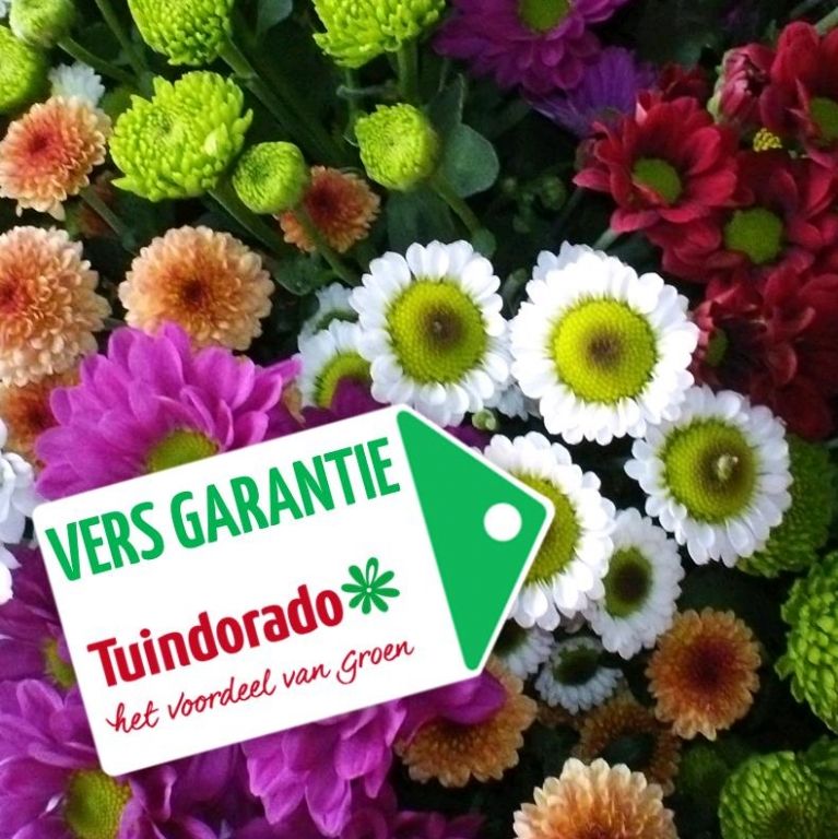 Versgarantie Versgarantie