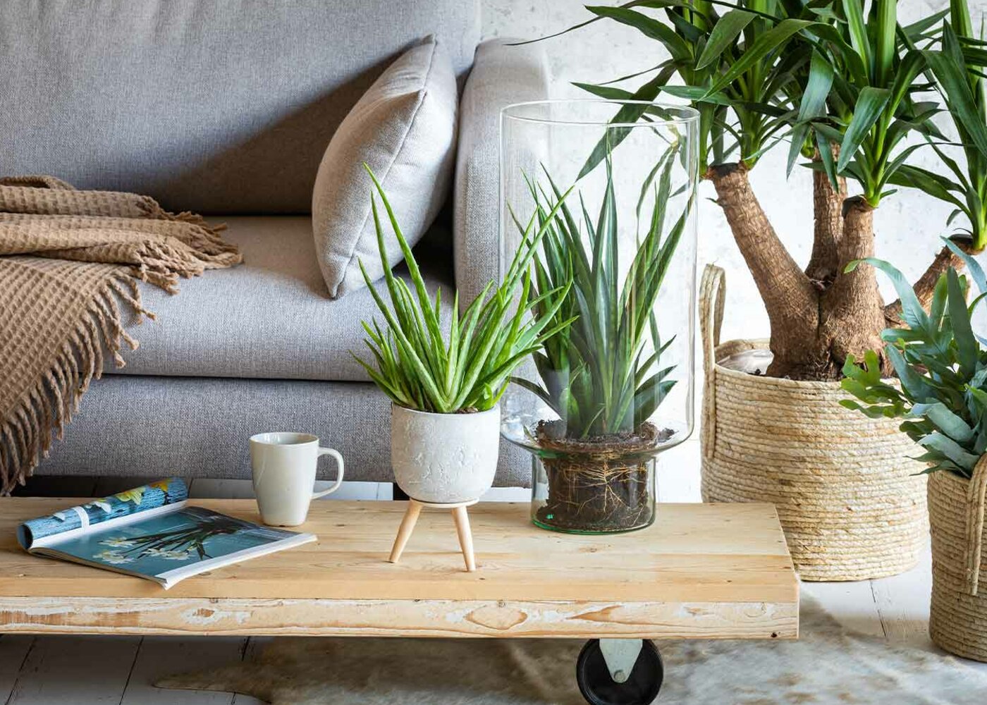 Alles voor een sfeervol huis
