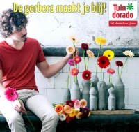 De gerbera maakt je blij!