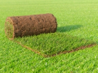 Het gras bij de buren...