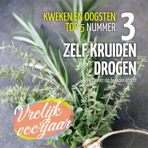 Top 5 kweken en oogsten: 3. zelf kruiden drogen