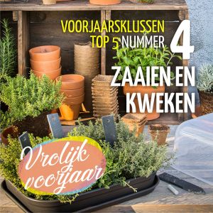 Voorjaarsklussen top 5  Nummer 4: Zaaien en kweken