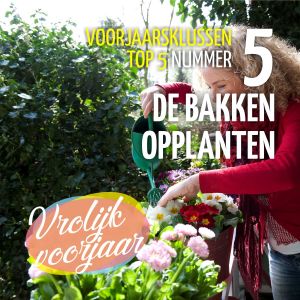 Voorjaarsklussen top 5  Nummer 5: Potten en bakken vullen