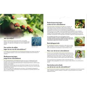 Ecostyle Aaltjes H tegen larven coloradokever 5 mln/10 m2 - afbeelding 2
