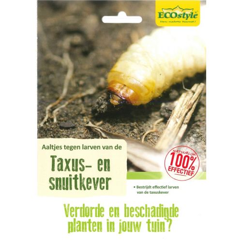 Ecostyle Aaltjes H tegen larven taxus- en snuitkever 50 mln/100 m2 - afbeelding 1