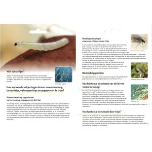 Ecostyle Aaltjes F tegen larven varenrouwmug & trips 5 mln/ca.5 m2/5 planten - afbeelding 2
