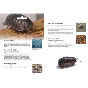 Ecostyle Aaltjes tegen pissebedden (val) - afbeelding 2