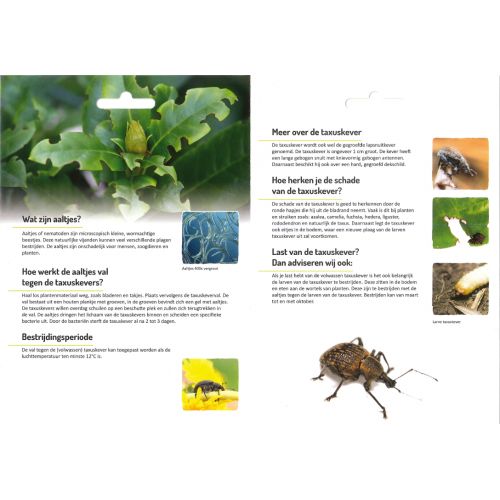 Ecostyle Aaltjes tegen taxuskevers (val)  - afbeelding 2