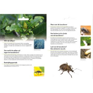 Ecostyle Aaltjes tegen taxuskevers (val)  - afbeelding 2