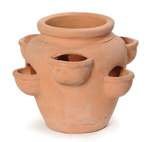 Mega Collections Whitewash Strawberry Pot 6cups D35H28.5