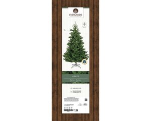 Alba fir dia127-H210cm groen - afbeelding 2