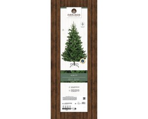 Alba fir dia127-H210cm groen - afbeelding 6