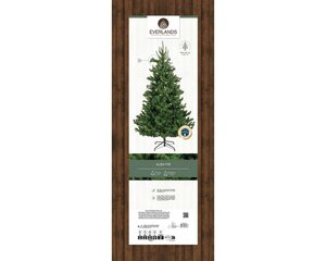 Alba fir dia137-H240cm groen - afbeelding 2