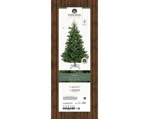Alba fir dia137-H240cm groen - afbeelding 6