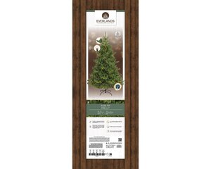 Alba fir prelit dia127-H210cm-2400L groen/warm wit - afbeelding 5