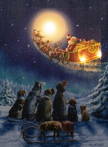 B.O. LED CANVAS 40X30CM HONDEN VOLLE MAAN 3LED / 2AA