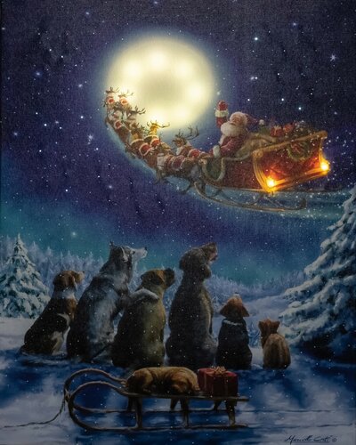 B.O. LED CANVAS 48X38CM HONDEN VOLLE MAAN 2LED + 42 STERREN