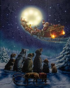 B.O. LED CANVAS 48X38CM HONDEN VOLLE MAAN 2LED + 42 STERREN