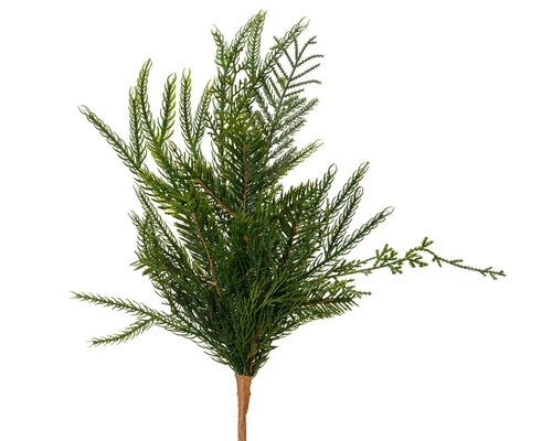 Branch dia15-H50cm groen