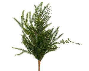 Branch dia15-H50cm groen