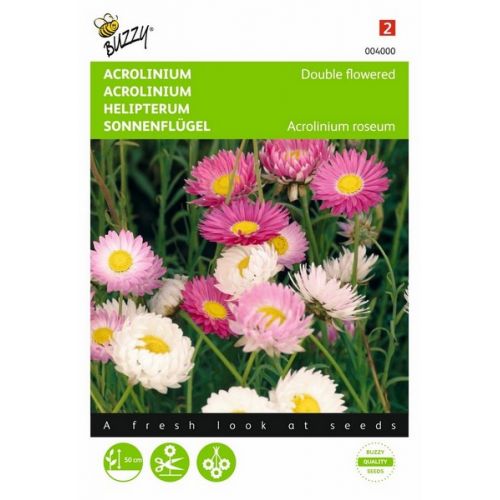 Buzzy® Acrolinium dubbelbloemig gemengd - afbeelding 1