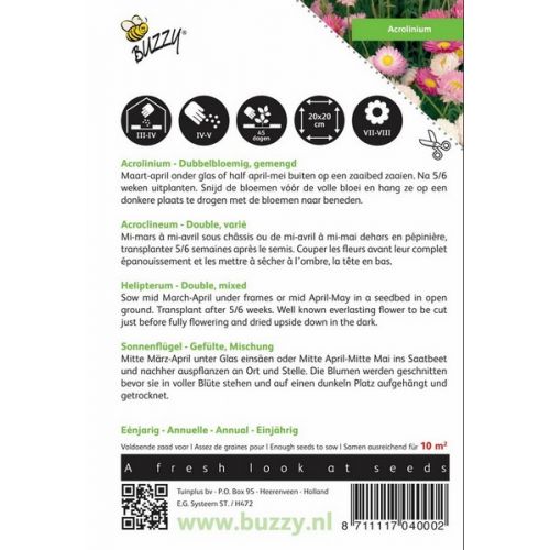 Buzzy® Acrolinium dubbelbloemig gemengd - afbeelding 2