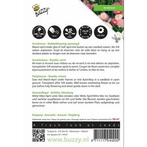 Buzzy® Acrolinium dubbelbloemig gemengd - afbeelding 2