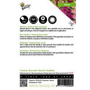 Buzzy® Althaea (Alcea), Stokroos Antwerp Stars mix - afbeelding 2