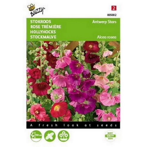 Buzzy® Althaea (Alcea), Stokroos Antwerp Stars mix - afbeelding 1
