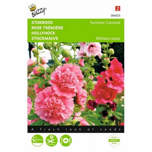 Buzzy® Althaea, Stokroos Summer Carnival - afbeelding 1