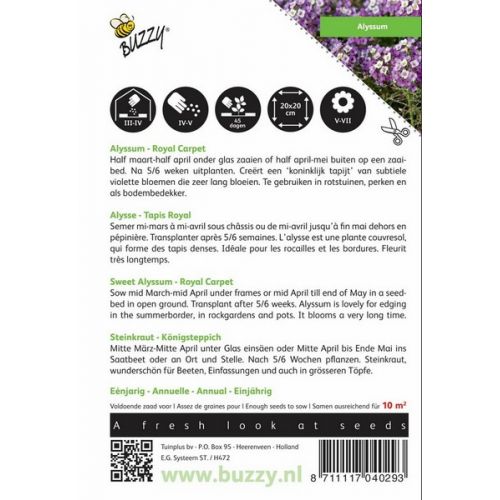 Buzzy® Alyssum Royal Carpet - afbeelding 2