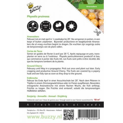 Buzzy® Ananaskers Physalis pruinosa - afbeelding 2