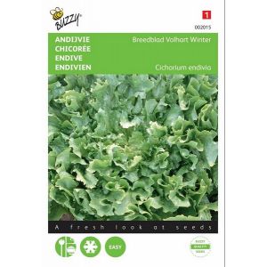 Buzzy® Andijvie Breedblad Volhart Winter - afbeelding 1
