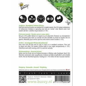 Buzzy® Andijvie Breedblad Volhart Winter - afbeelding 2