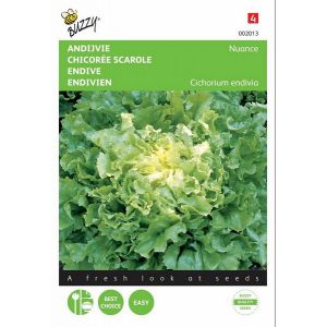 Buzzy® Andijvie Nuance