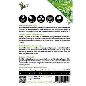 Buzzy® Andijvie Nummer Vijf - afbeelding 2