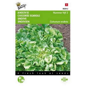 Buzzy® Andijvie Nummer Vijf - afbeelding 1