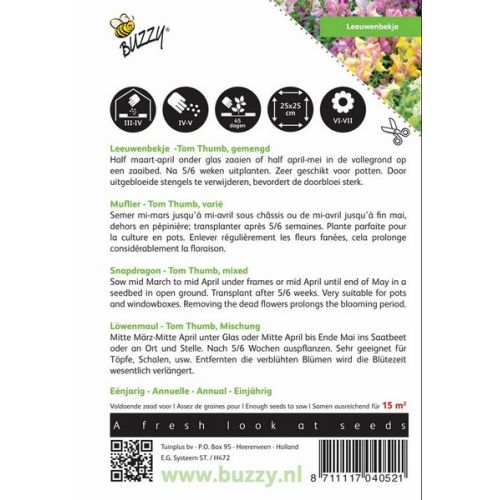 Buzzy® Antirrhinum, Leeuwenbekje Tom Thumb gemengd - afbeelding 2