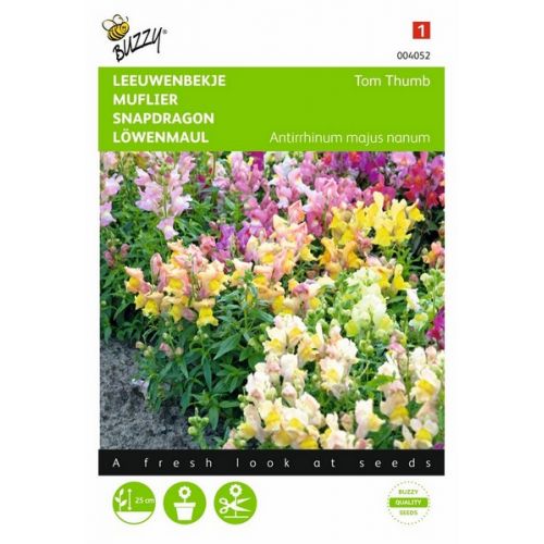 Buzzy® Antirrhinum, Leeuwenbekje Tom Thumb gemengd - afbeelding 1